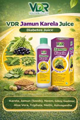 VDR Karela Jamun Herbal Juice  0